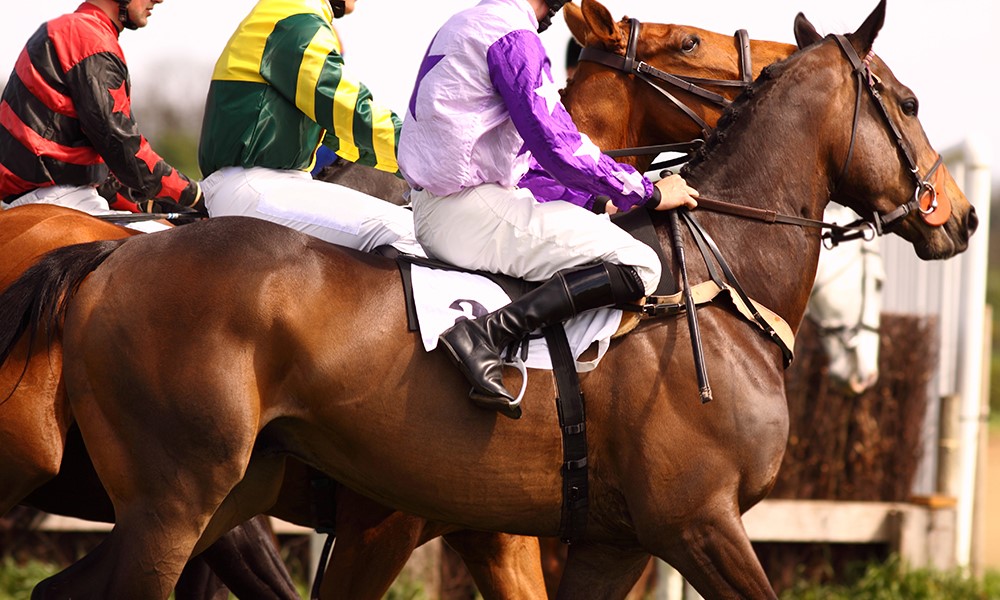 Gold Cup Day